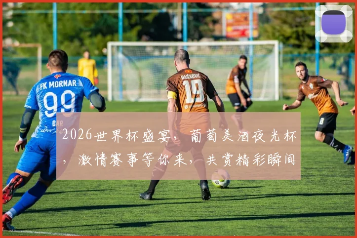 2026世界杯盛宴，葡萄美酒夜光杯，激情赛事等你来，共赏精彩瞬间，一触即发