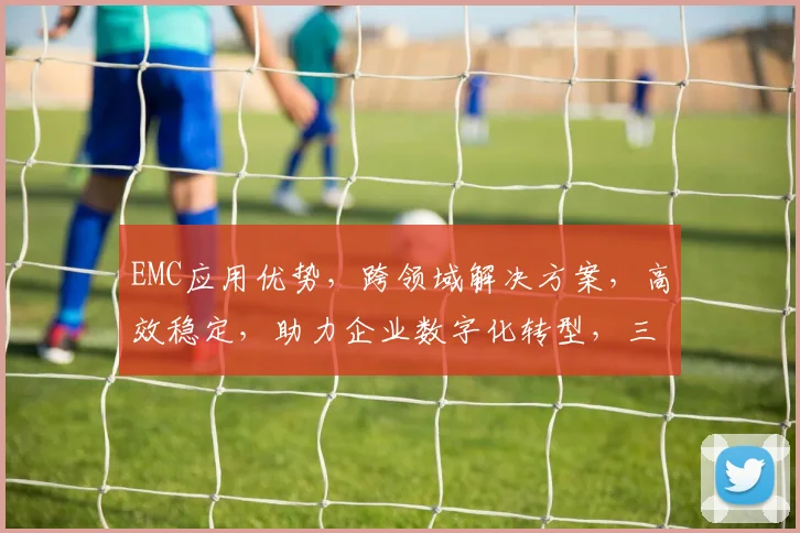 EMC应用优势，跨领域解决方案，高效稳定，助力企业数字化转型，三大亮点揭秘