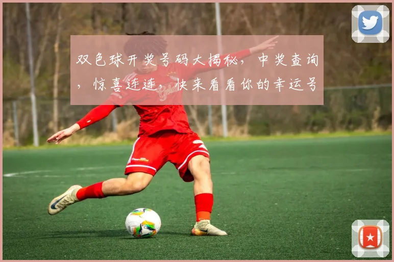 双色球开奖号码大揭秘，中奖查询，惊喜连连，快来看看你的幸运号码