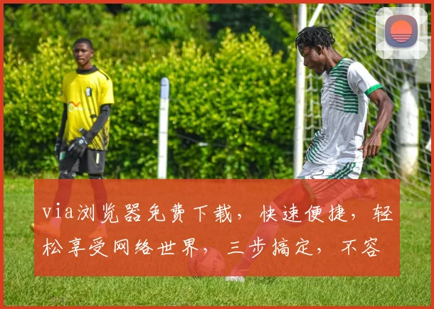 via浏览器免费下载，快速便捷，轻松享受网络世界，三步搞定，不容错过，
